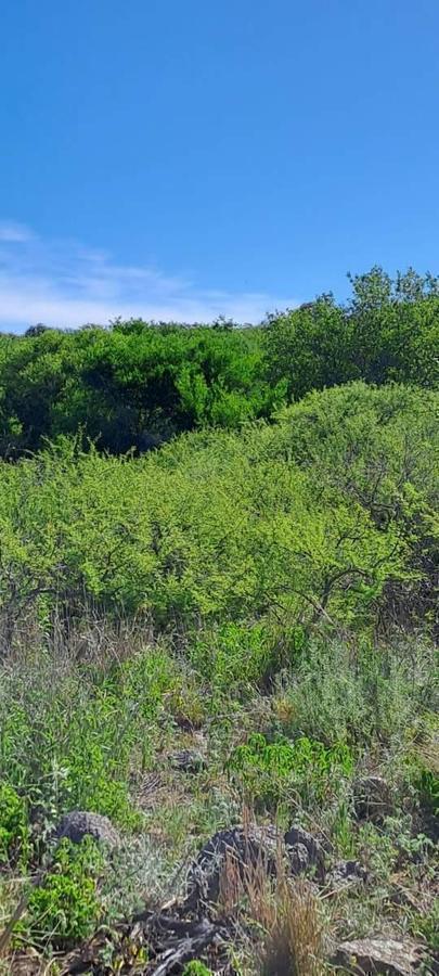 Foto de TERRENOP EN VENTA ASCOCHINGA LA PAMPA CORDOBA, imagen 3