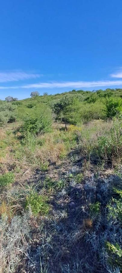Foto de TERRENOP EN VENTA ASCOCHINGA LA PAMPA CORDOBA, imagen 2