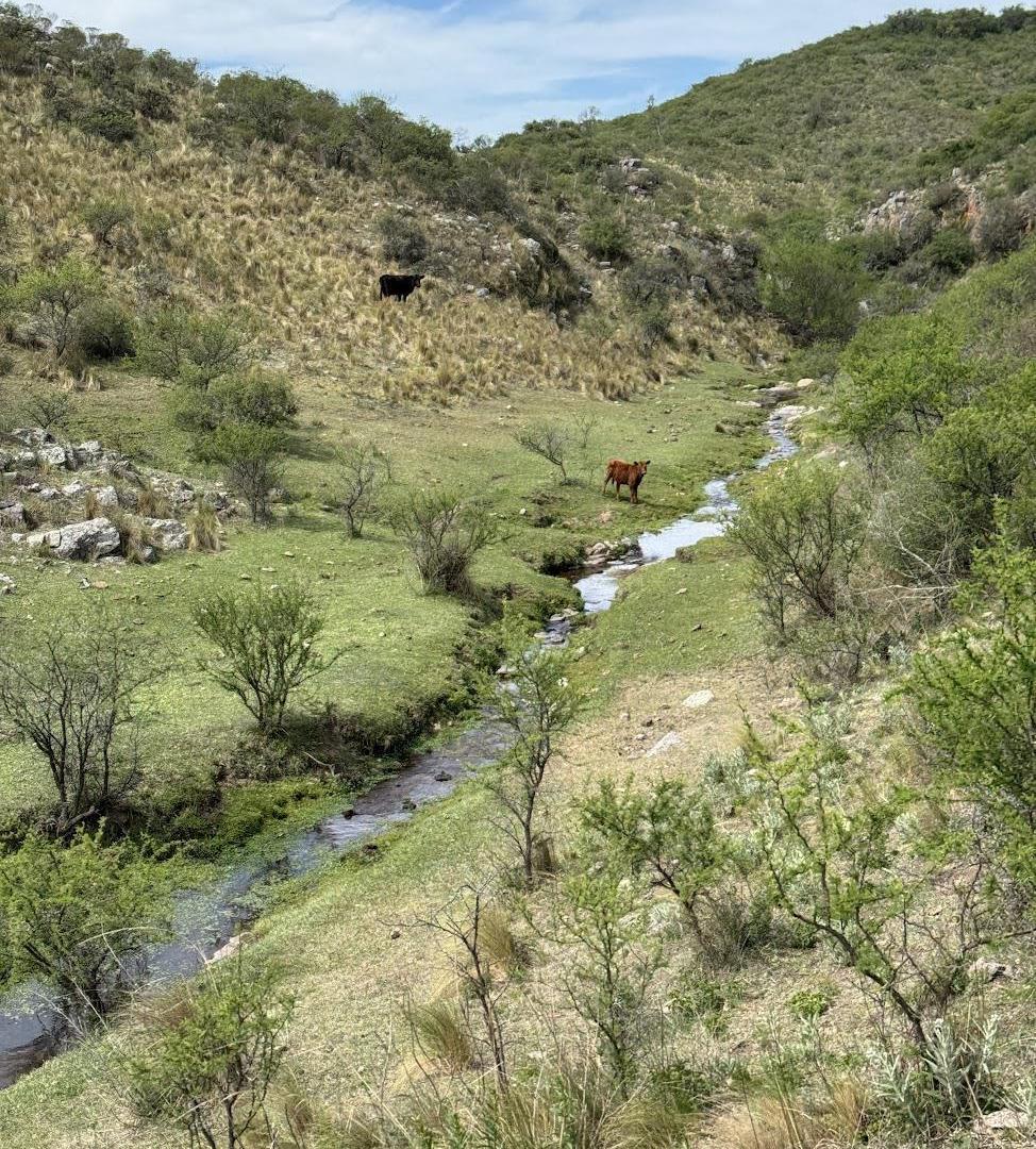 Foto de Venta Campo Ongamira Cordoba, imagen 2