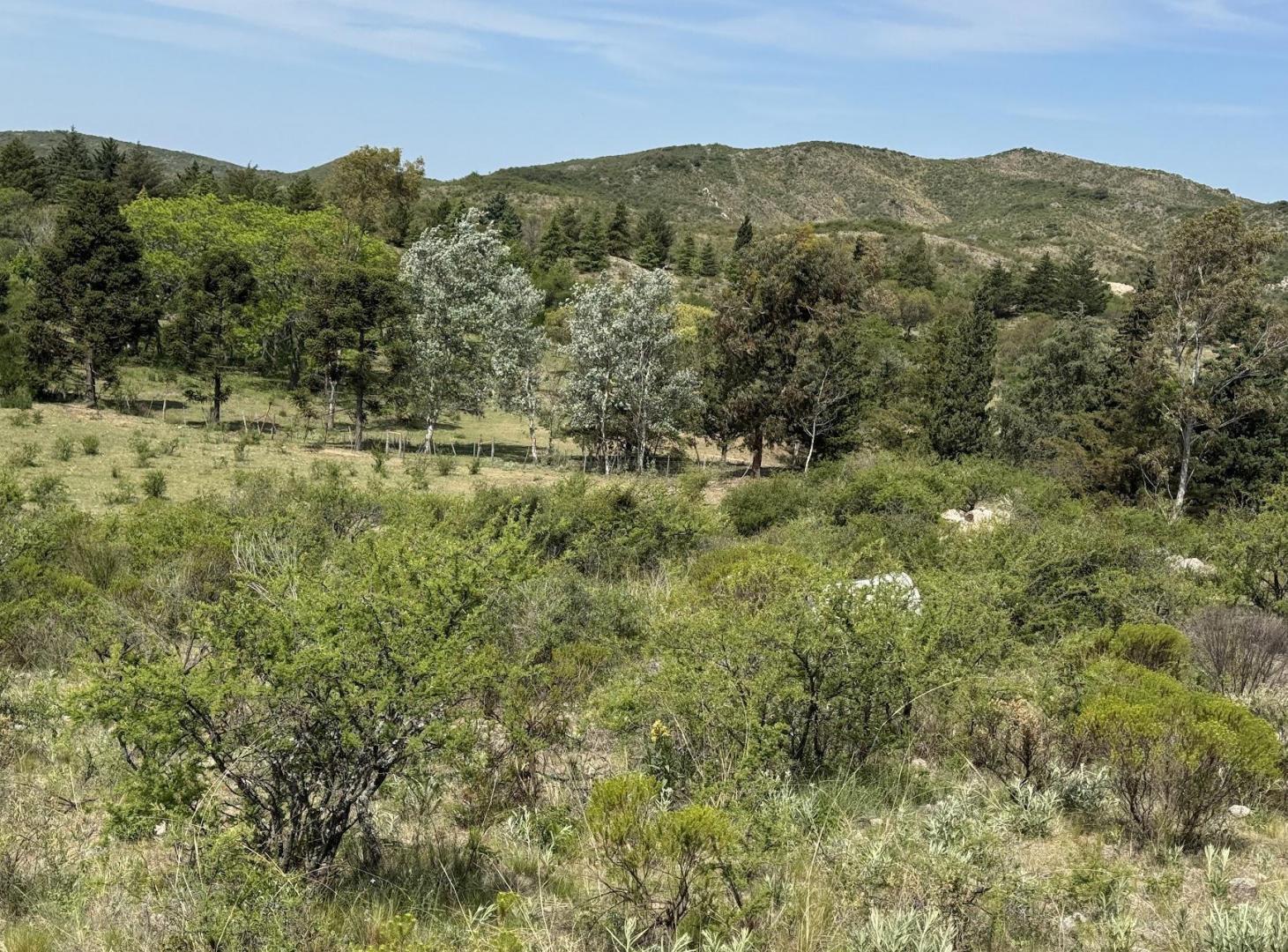 Foto de Venta Campo Ongamira Cordoba, imagen 1