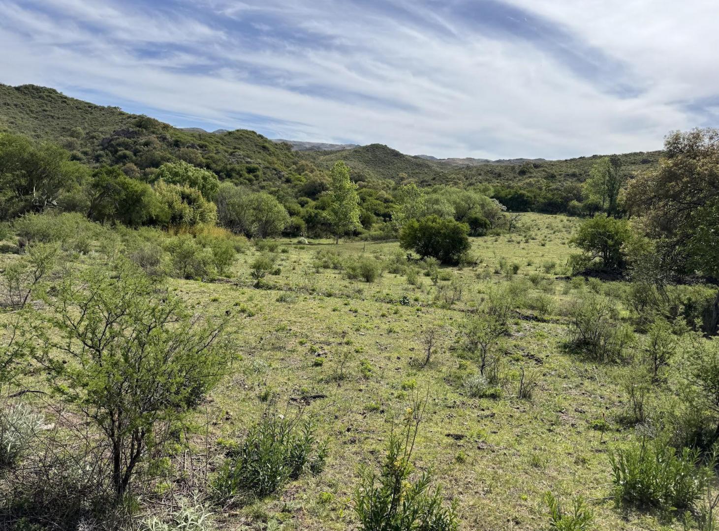 Foto de Venta Campo Ongamira Cordoba, imagen 4