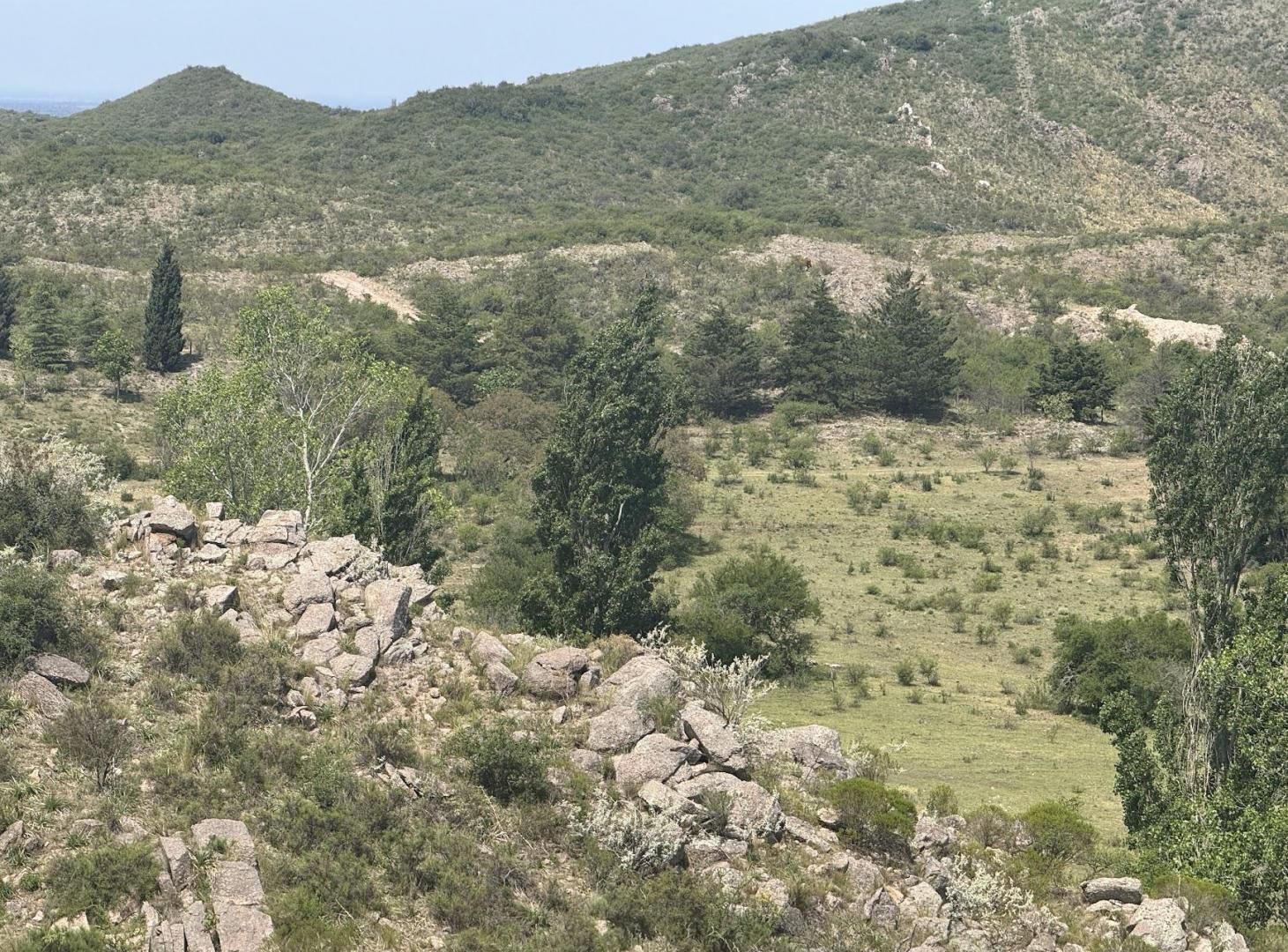 Foto de Venta Campo Ongamira Cordoba, imagen 5