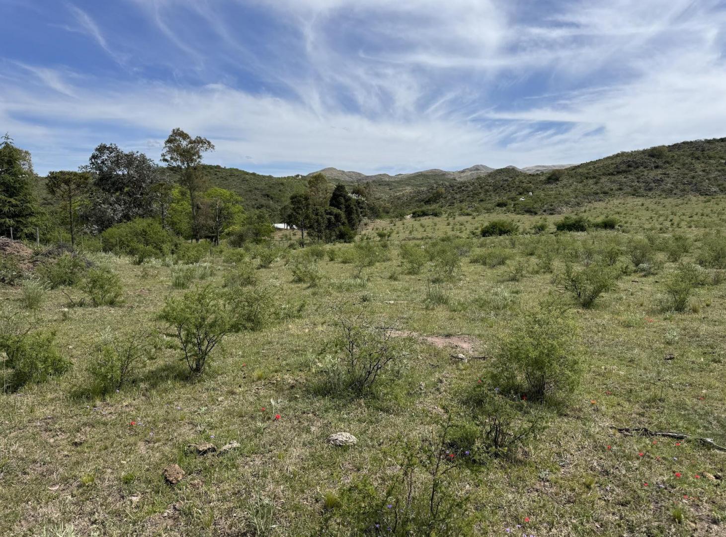 Foto de Venta Campo Ongamira Cordoba, imagen 3