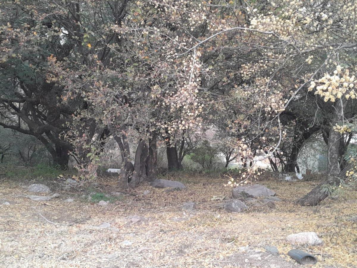 Foto de TERRENO EN VENTA LA CUESTA LA CALERA, imagen 3