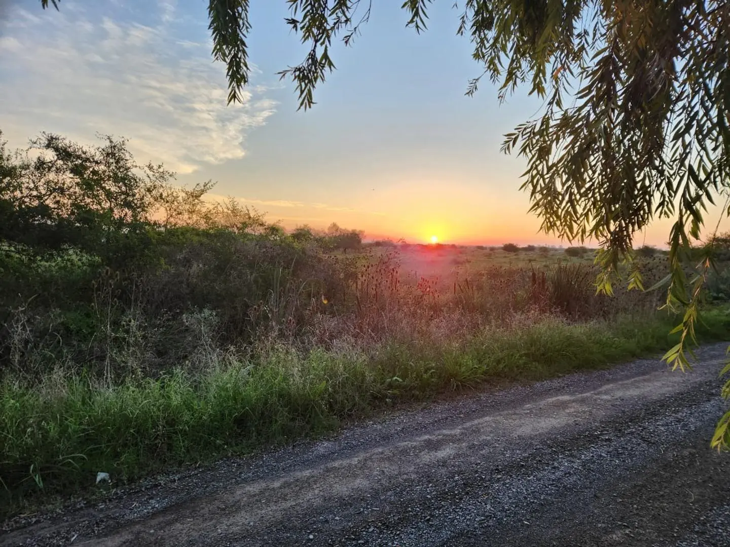 VENTA Lote de Terreno Punta Lara Villa del Plata Norte 1