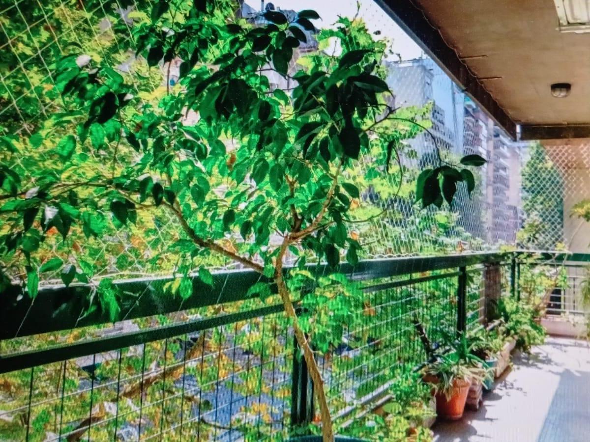 Venta - Departamento - Recoleta 5