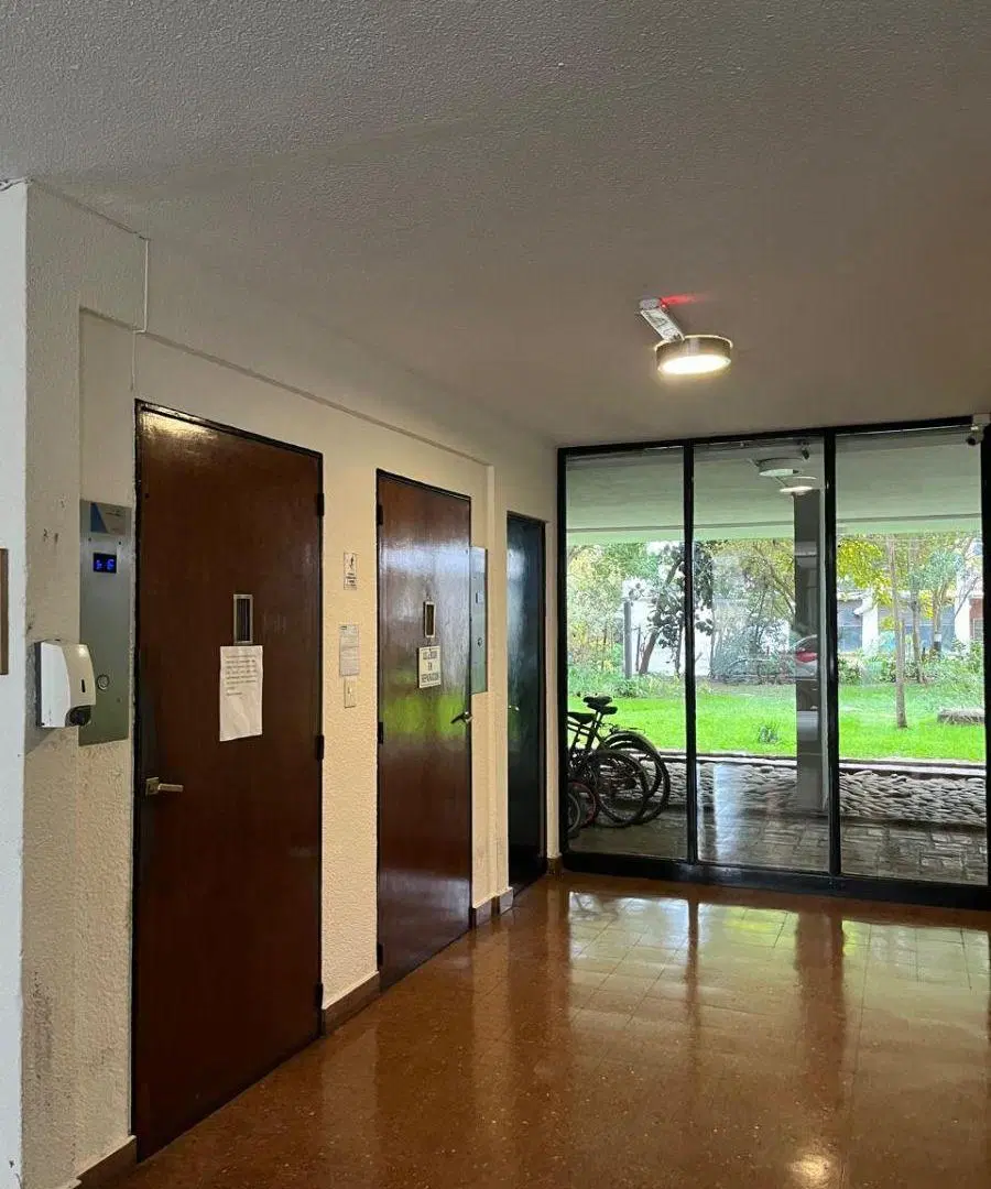 Albrellos al 1000 super luminoso 4amb 4