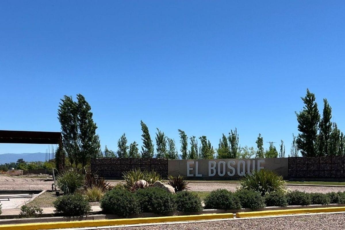 Foto de Terreno en venta Rodeo del Medio Barrio El Bosque, imagen 3