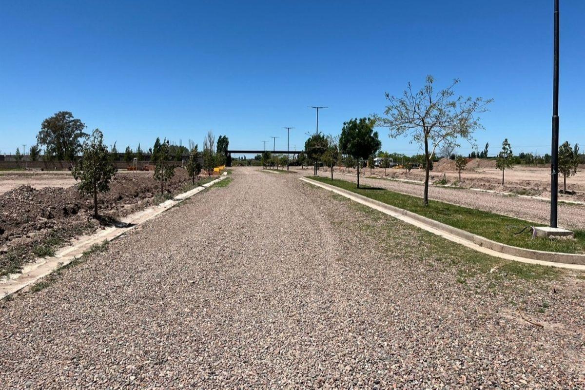 Foto de Terreno en venta Rodeo del Medio Barrio El Bosque, imagen 5