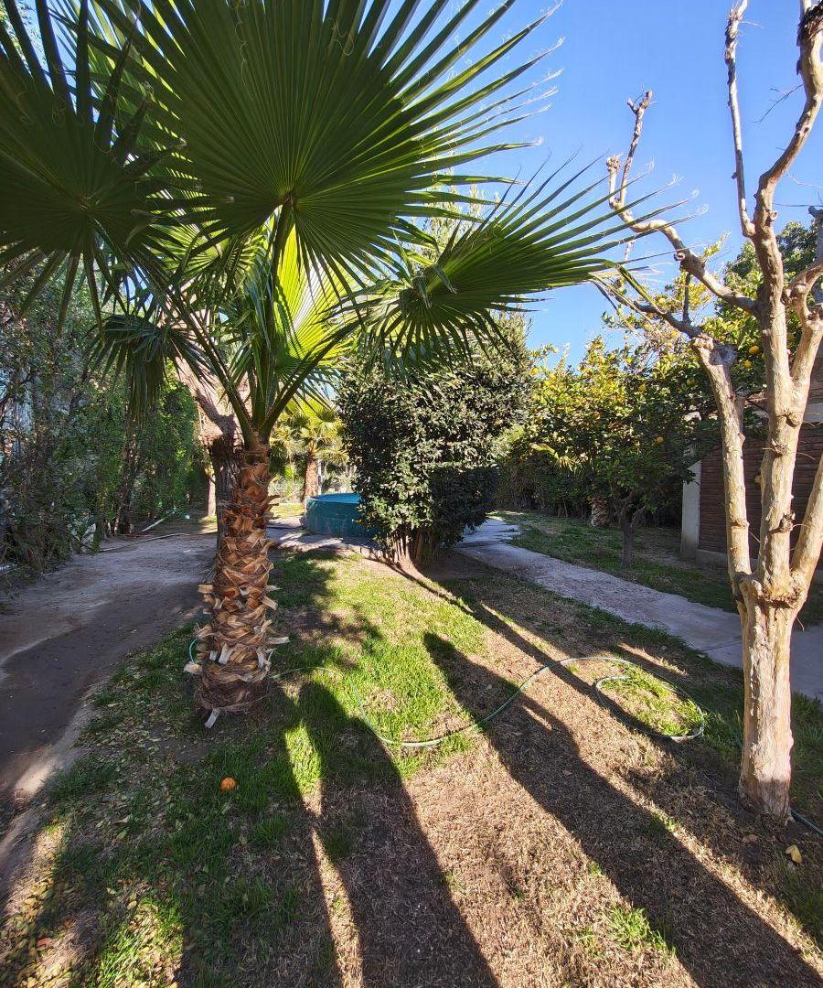 Foto de Dos Casas Centricas de 850 m² con 3 dormitorios en venta en San Martín, imagen 1