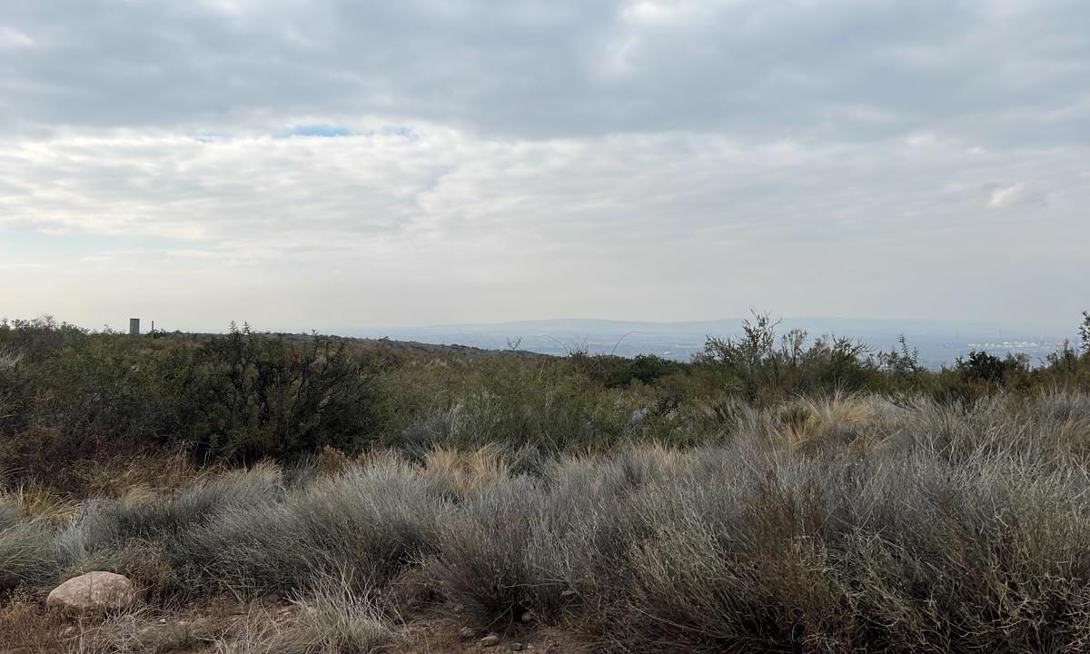Lote en Venta de 2000 m² Ubicado en Luján de Cuyo 2