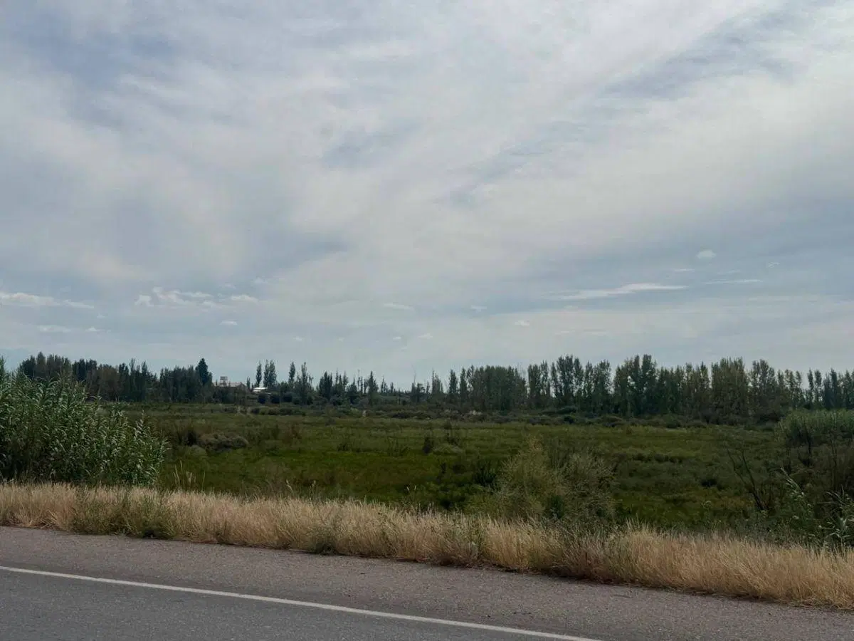 Terreno / Lote en venta de 170000m2 ubicado en Barrancas 4