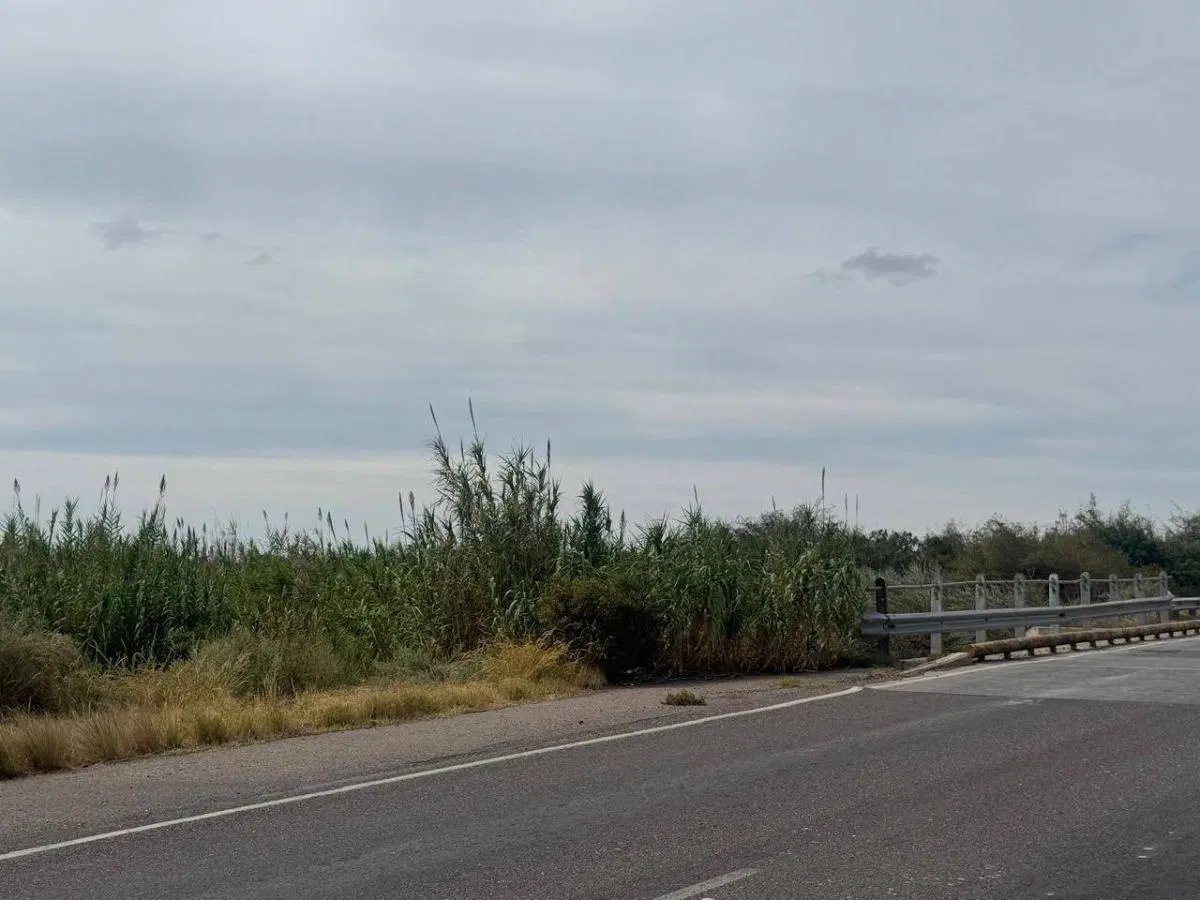 Terreno / Lote en venta de 170000m2 ubicado en Barrancas 1
