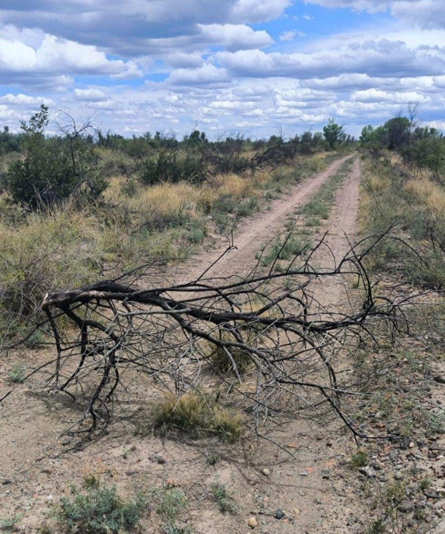 Foto de Terreno / Lote en venta de 10000m2 ubicado en Rivadavia, imagen 2