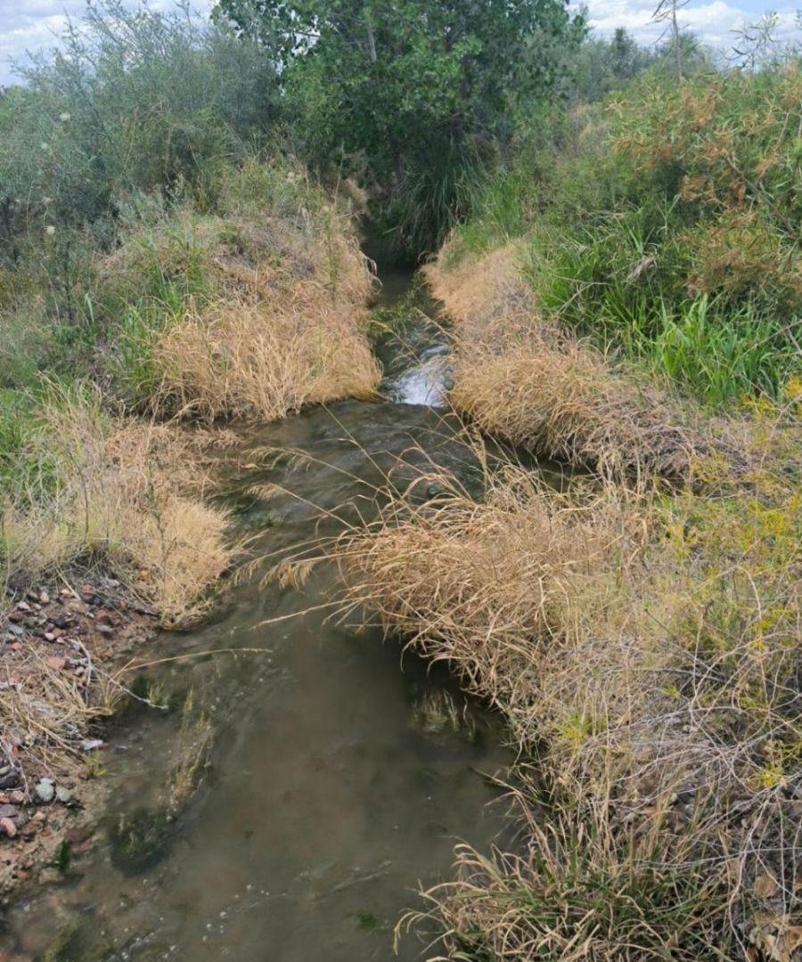 Foto de Terreno / Lote en venta de 10000m2 ubicado en Rivadavia, imagen 5