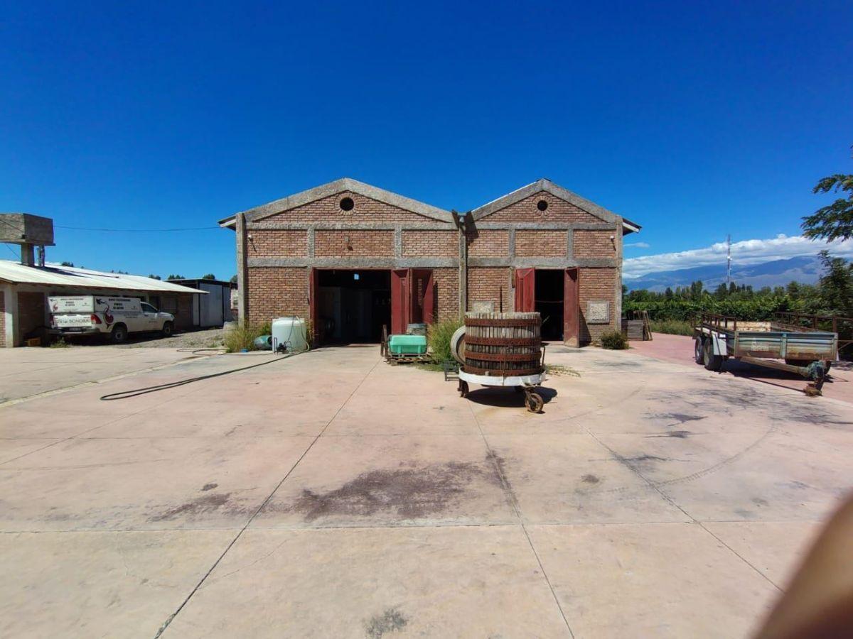 Foto de Finca Guemes Tunuyan, Mendoza, imagen 2