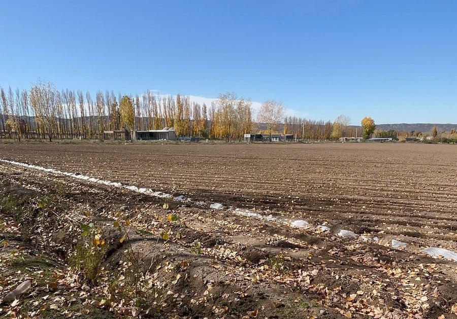 Excelente campo a la venta en Tupungato
