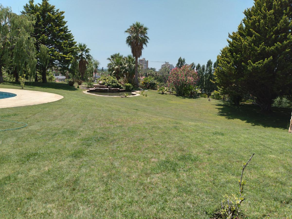 Vendo Casa en Barrio Palmares - La Mejor Ubicación y Calidad 4