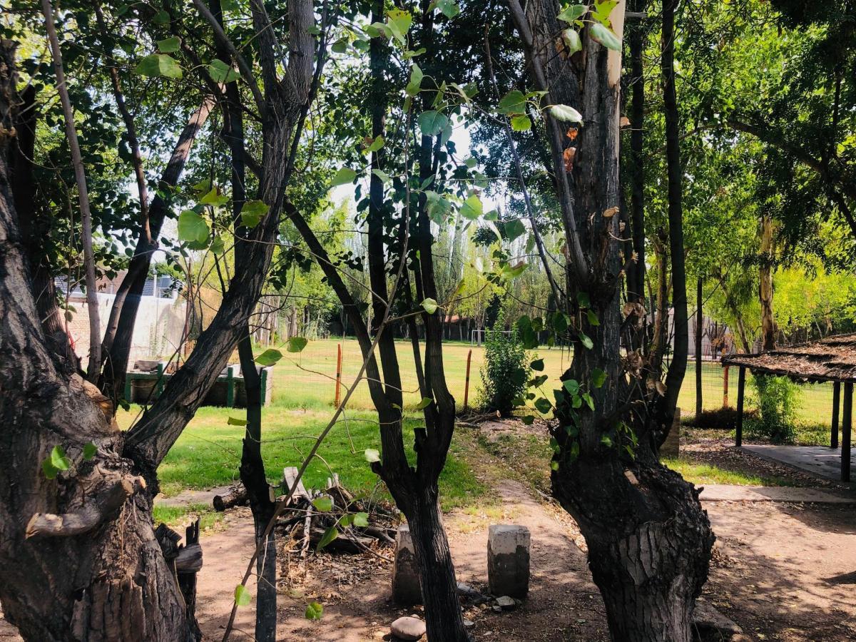 Terreno Bermejo 5