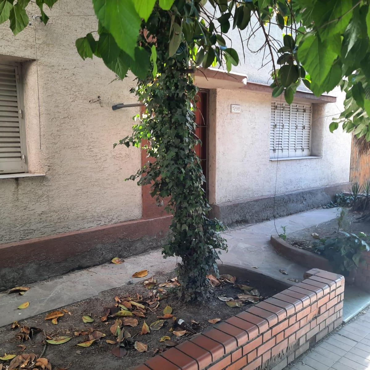 Lote Sobre Bandera Los Andes Casi Mitre 5