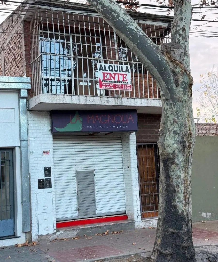 Centrico, San Luis y Rioja, departamento 5
