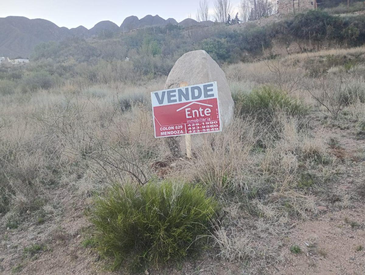 Foto de LOTE CACHEUTA, imagen 3