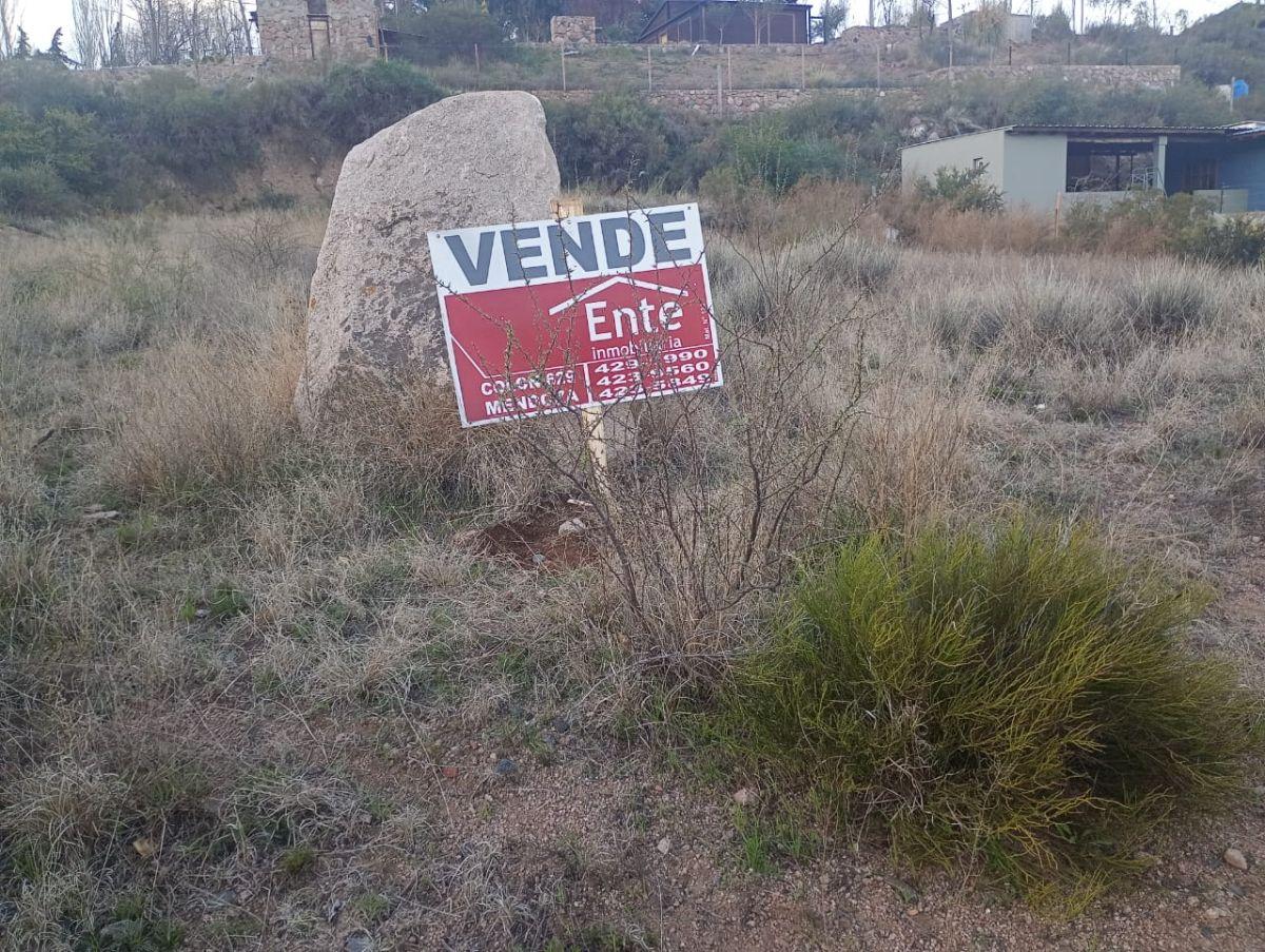 Foto de LOTE CACHEUTA, imagen 1
