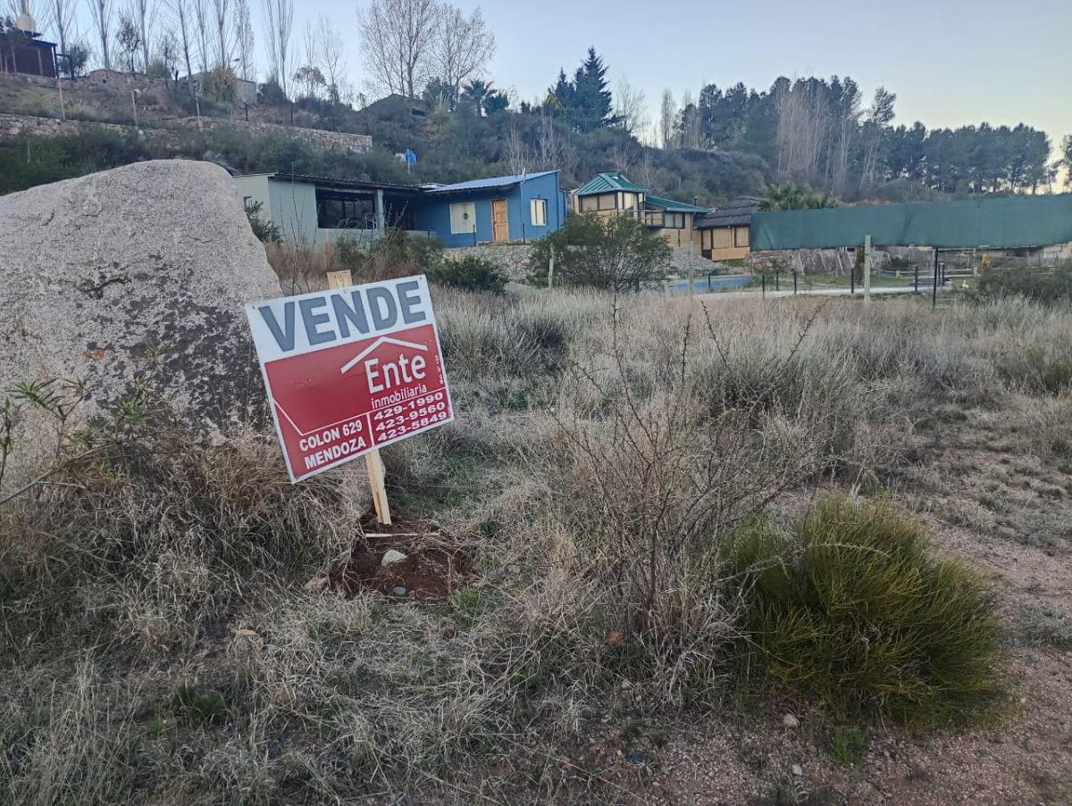Foto de LOTE CACHEUTA, imagen 4