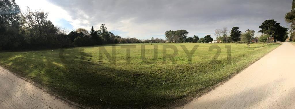 Foto de Lote en venta en Magdalena, imagen 4