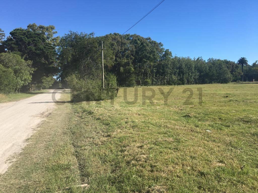 Foto de Lote en venta en Magdalena, imagen 3