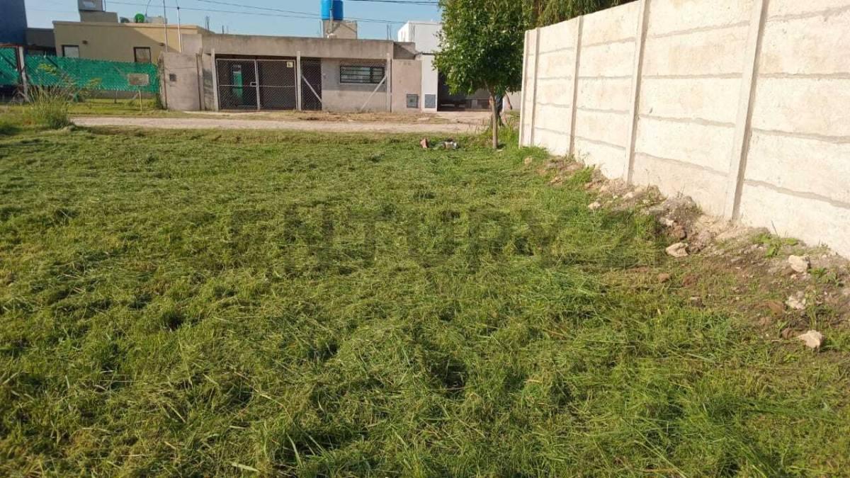 Imagen de la propiedad