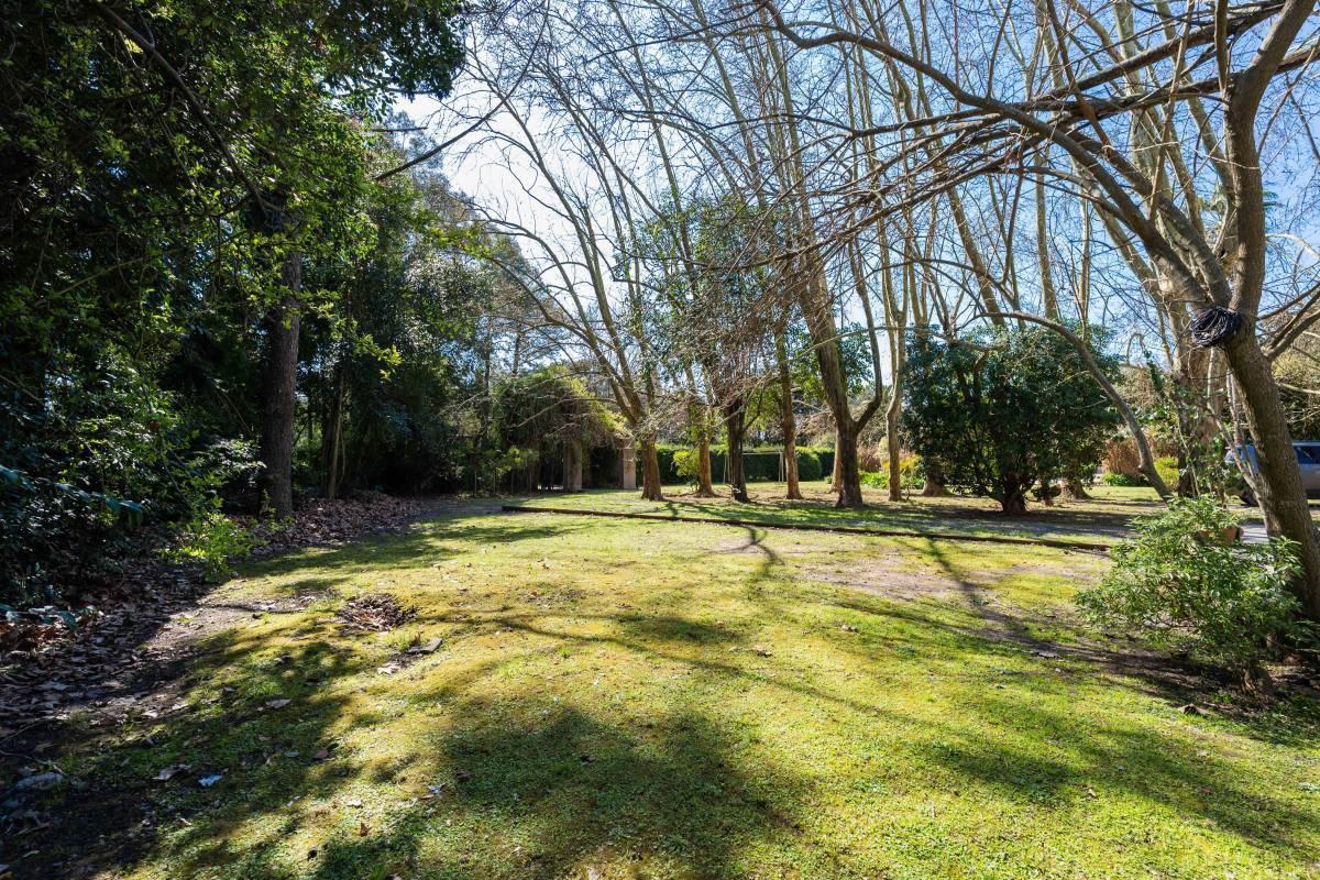 Foto de TERRENO EN VENTA EN VILLA ELISA, ENTRE CAMINOS., imagen 1
