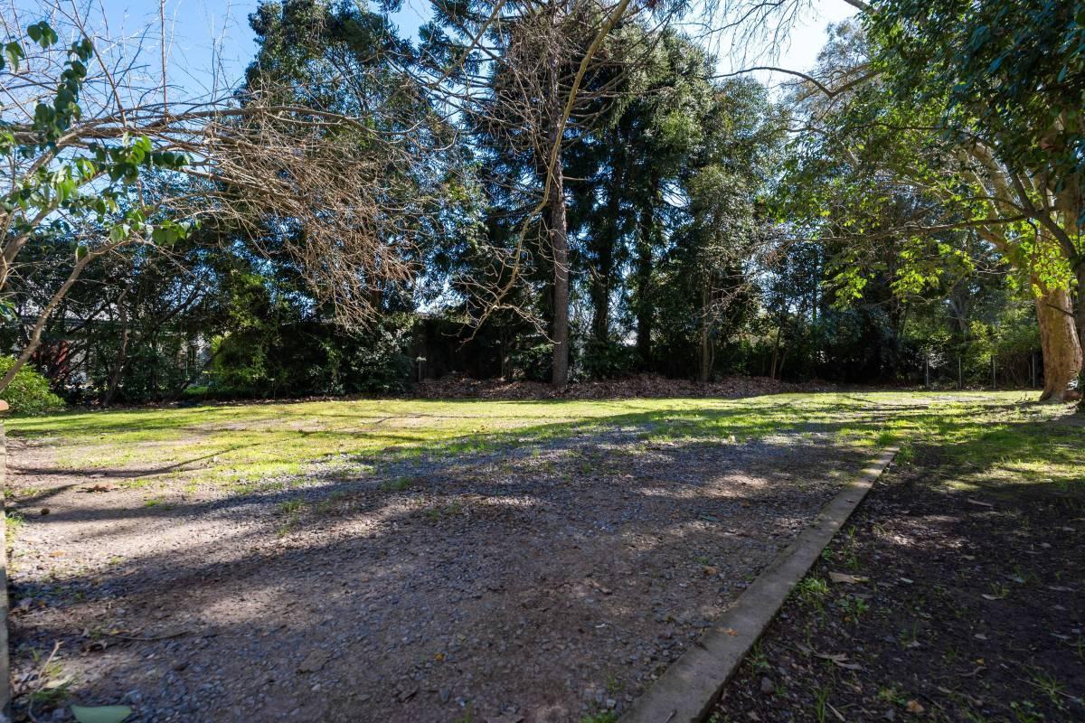 Foto de TERRENO EN VENTA EN VILLA ELISA, ENTRE CAMINOS., imagen 2