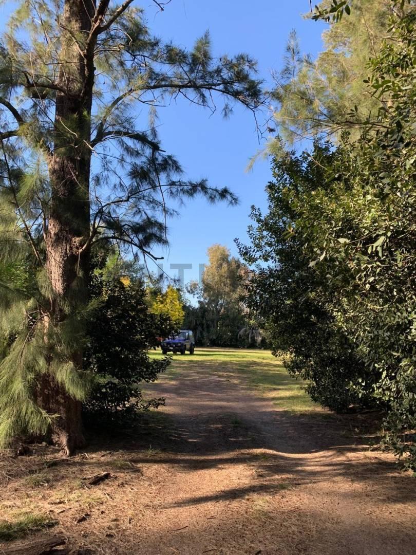 Foto de Terreno en Venta La Lula, imagen 3