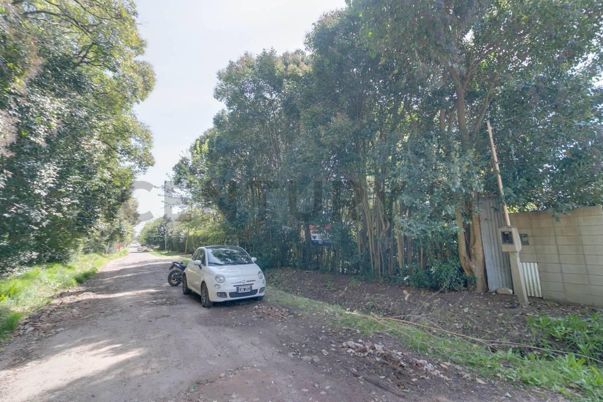 Foto de Lote en venta Villa Elisa, imagen 3