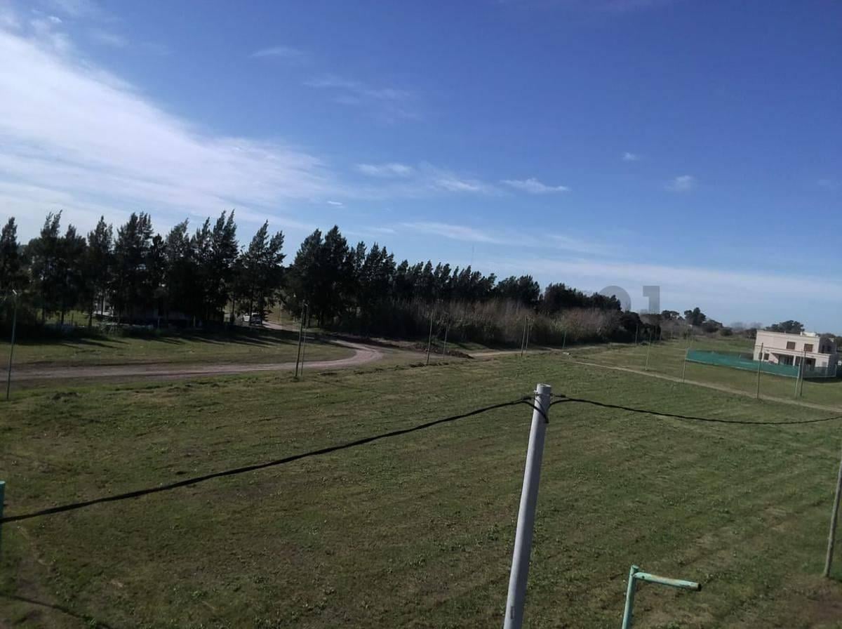 Foto de Lote en venta, imagen 5