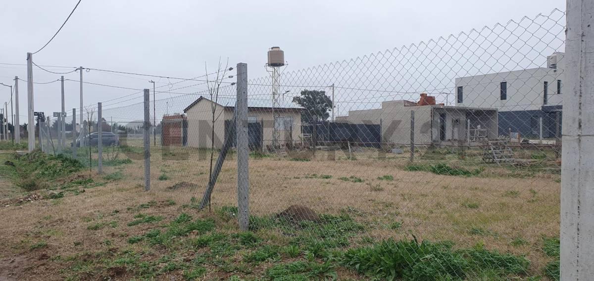 Foto de Lote en Venta en Parque Sicardi, imagen 3
