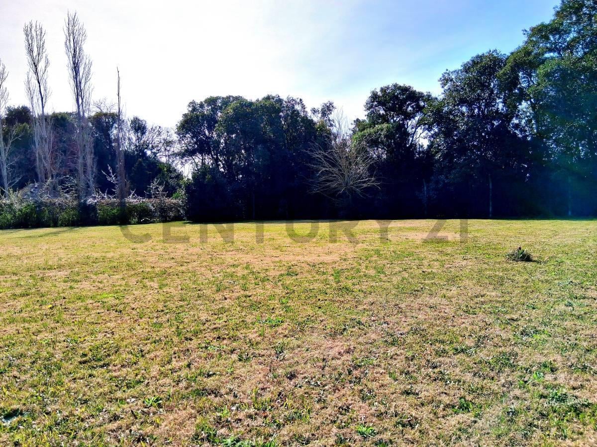 Foto de Lote de terreno en venta calle 11bis e/ 601 y 603, imagen 4