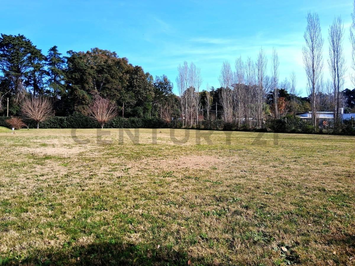 Foto de Lote de terreno en venta calle 11bis e/ 601 y 603, imagen 2