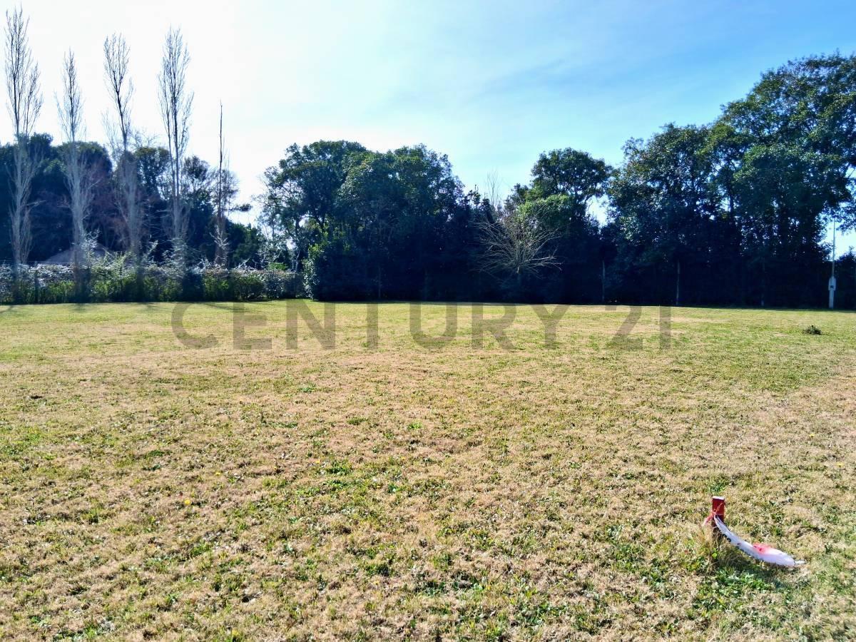Foto de Lote de terreno en venta calle 11bis e/ 601 y 603, imagen 5