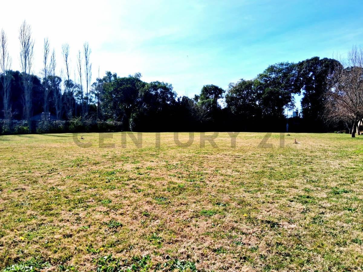 Foto de Lote de terreno en venta calle 11bis e/ 601 y 603, imagen 3