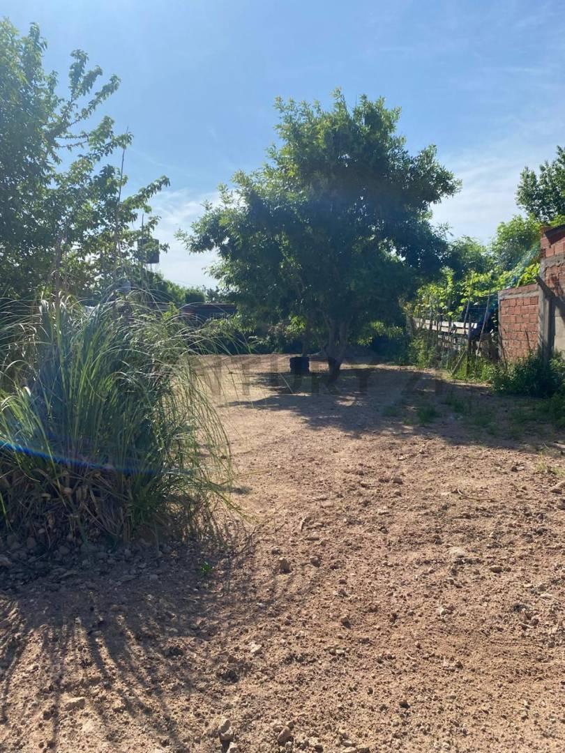 Foto de Lote en venta en Villa Castells, imagen 1