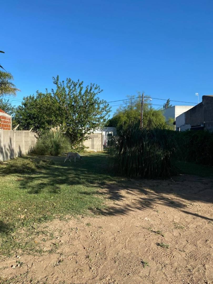 Foto de Lote en venta en Villa Castells, imagen 3