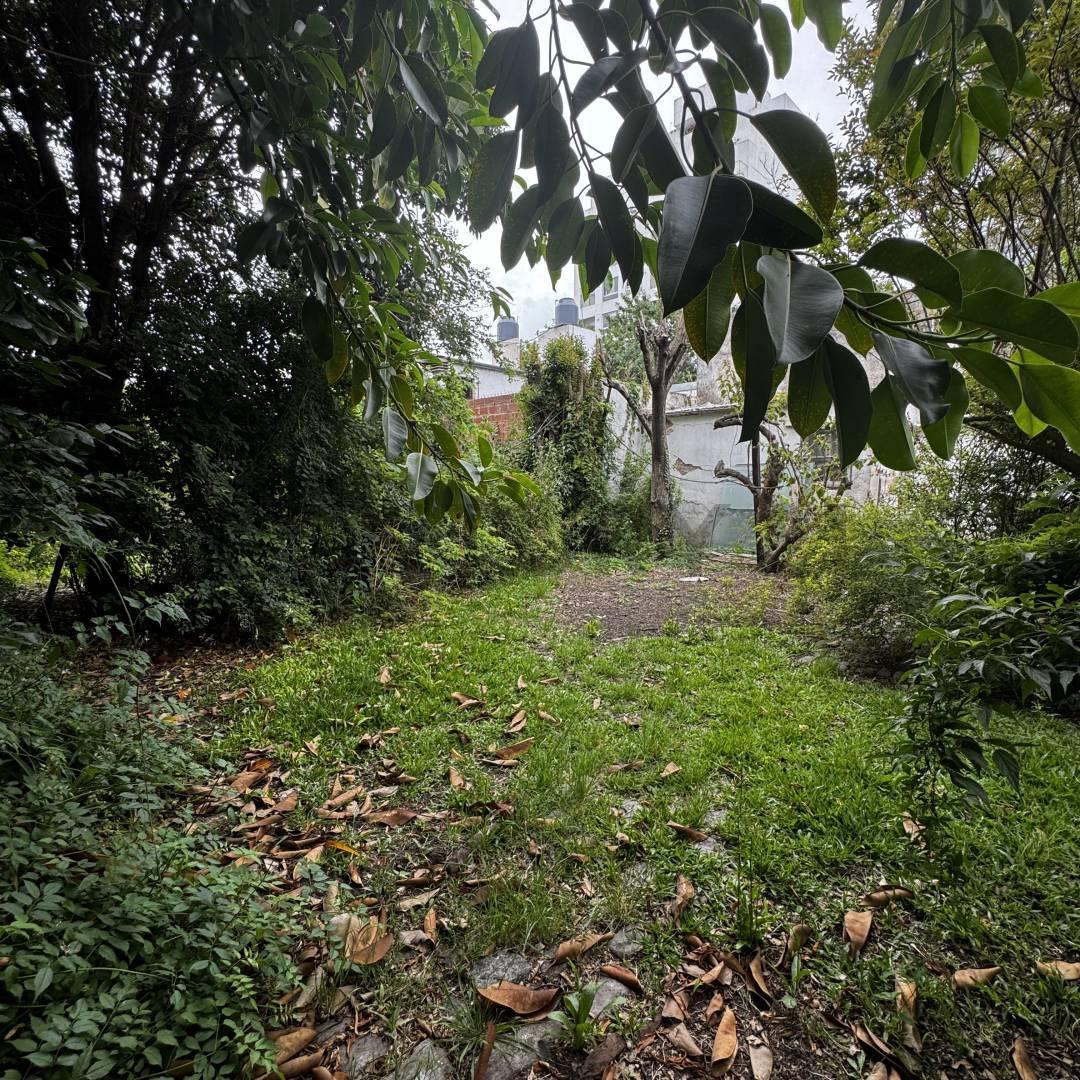 Foto de Lote en venta con construcción a reciclar en La Plata, imagen 3