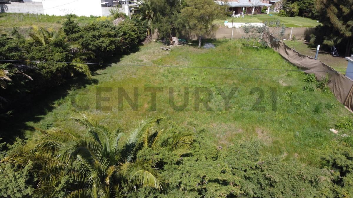 Foto de LOTE EN VENTA EN VILLA CASTELLS, imagen 2