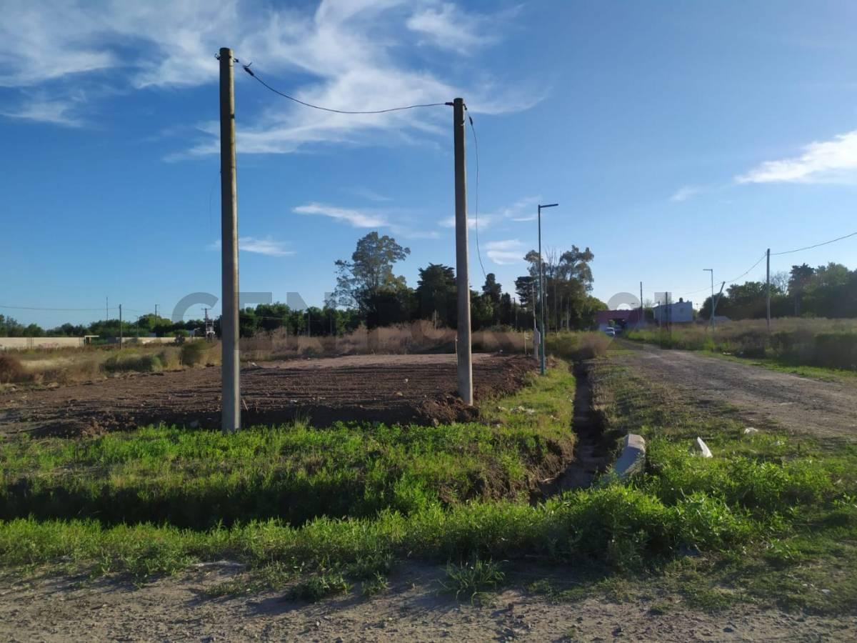 Foto de Venta de lotes en barrio San Carlos- La Plata, imagen 1