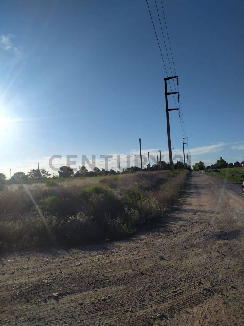 Foto de Venta de lotes en barrio San Carlos- La Plata, imagen 3