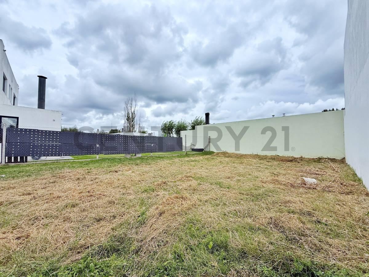 Foto de LOTE EN VENTA EN VILLA CASTELLS, imagen 3