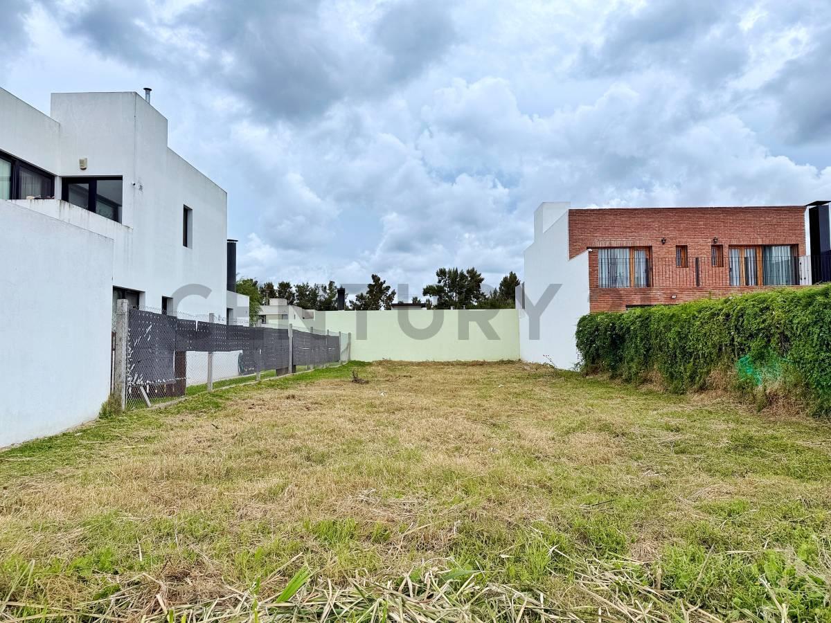 Foto de LOTE EN VENTA EN VILLA CASTELLS, imagen 2