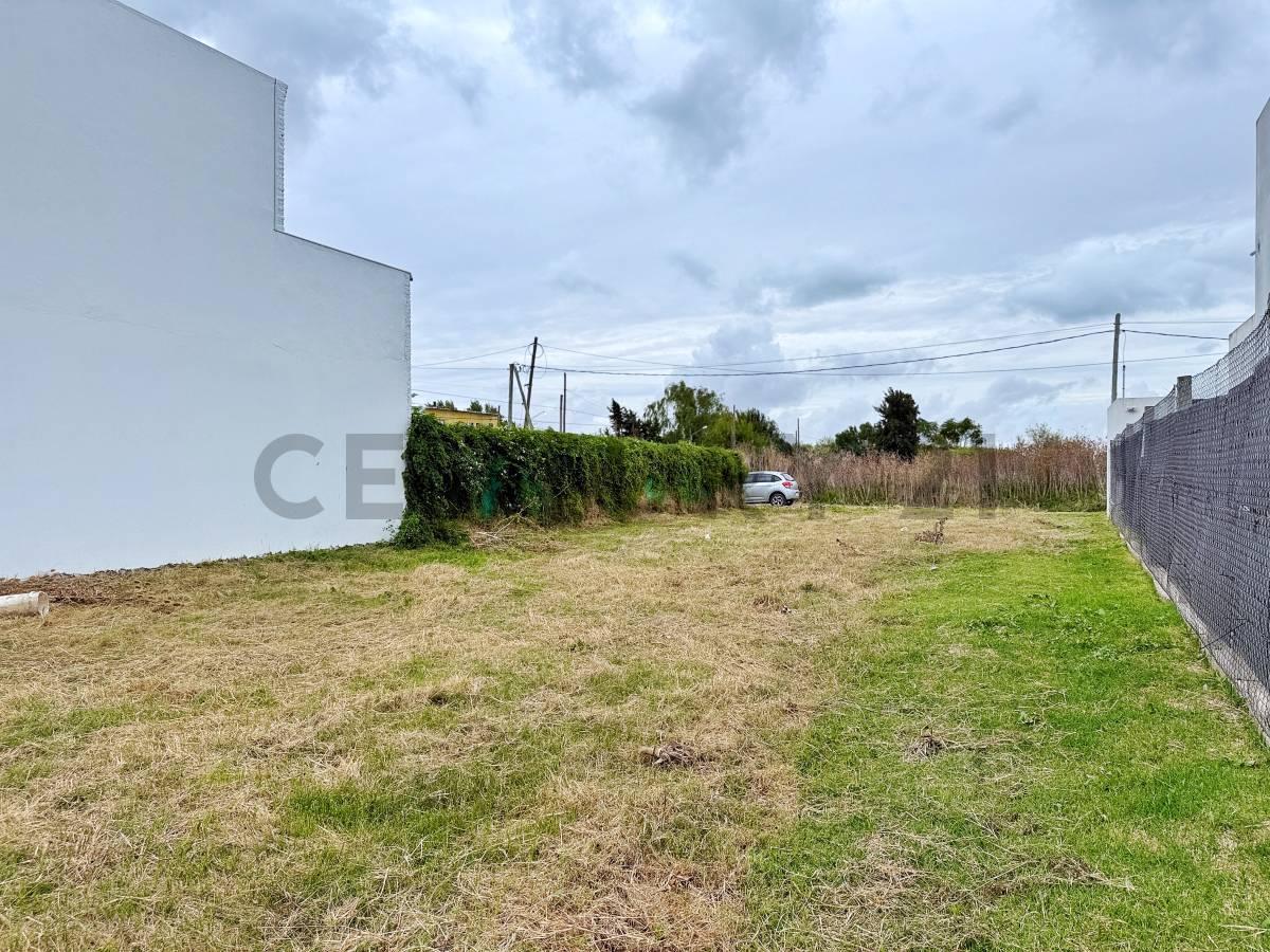 Foto de LOTE EN VENTA EN VILLA CASTELLS, imagen 1